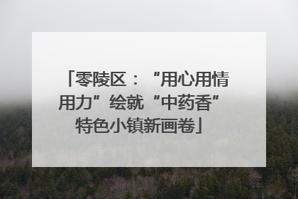 零陵区：“用心用情用力”绘就“中药香”特色小镇新画卷