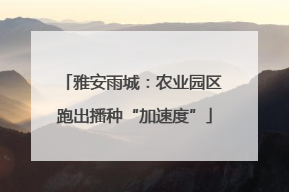 雅安雨城：农业园区跑出播种“加速度”