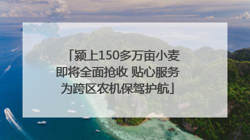 颍上150多万亩小麦即将全面抢收 贴心服务为跨区农机保驾护航