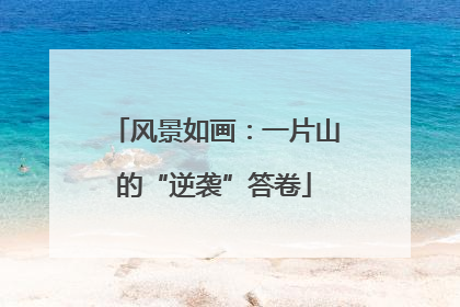 风景如画：一片山的“逆袭”答卷