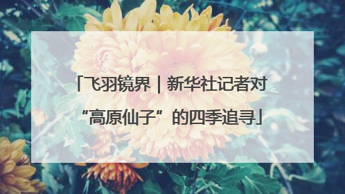 飞羽镜界｜新华社记者对“高原仙子”的四季追寻