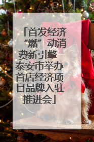 首发经济“燃”动消费新引擎 泰安市举办首店经济项目品牌入驻推进会