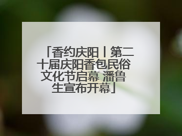 香约庆阳丨第二十届庆阳香包民俗文化节启幕 潘鲁生宣布开幕