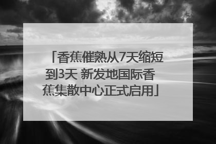 香蕉催熟从7天缩短到3天 新发地国际香蕉集散中心正式启用