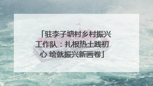 驻李子塘村乡村振兴工作队：扎根热土践初心 绘就振兴新画卷