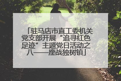 驻马店市直工委机关党支部开展“追寻红色足迹”主题党日活动之八——鏖战独树镇