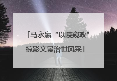 马永嬴“以陵窥政” 掠影文景治世风采