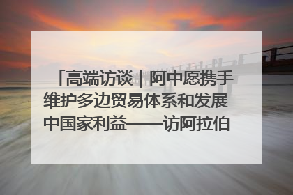 高端访谈｜阿中愿携手维护多边贸易体系和发展中国家利益——访阿拉伯议会议长亚马希