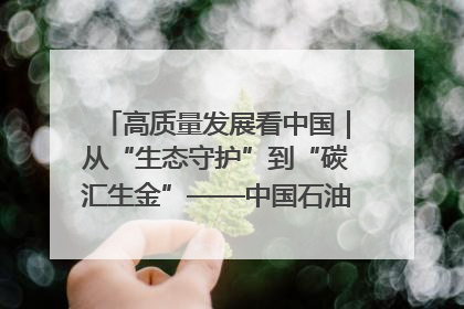 高质量发展看中国｜从“生态守护”到“碳汇生金”——中国石油大庆油田绿色蝶变