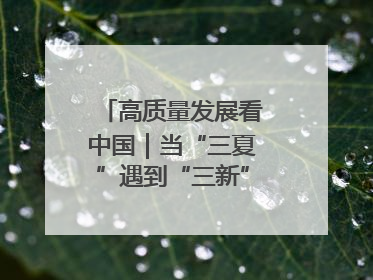 高质量发展看中国｜当“三夏”遇到“三新”：看南北田野里的科技共生记