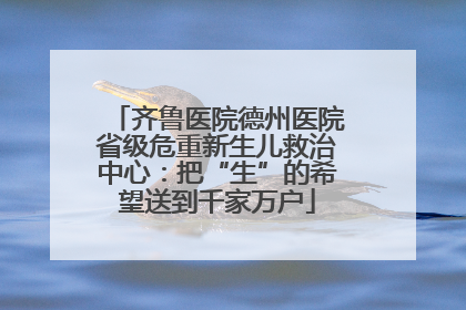 齐鲁医院德州医院省级危重新生儿救治中心：把“生”的希望送到千家万户