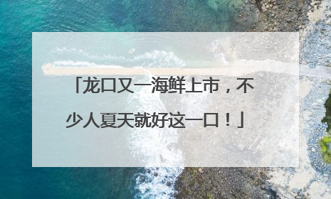 龙口又一海鲜上市，不少人夏天就好这一口！