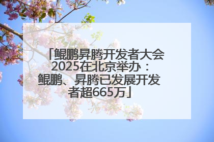 鲲鹏昇腾开发者大会2025在北京举办：鲲鹏、昇腾已发展开发者超665万