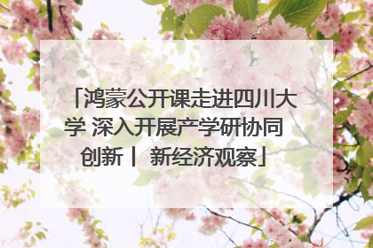 鸿蒙公开课走进四川大学 深入开展产学研协同创新丨 新经济观察