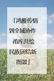 鸿雁传情到全域协作 甬库共绘民族团结新图景