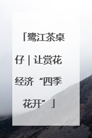 鹭江茶桌仔｜让赏花经济“四季花开”