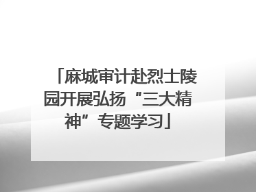 麻城审计赴烈士陵园开展弘扬“三大精神”专题学习