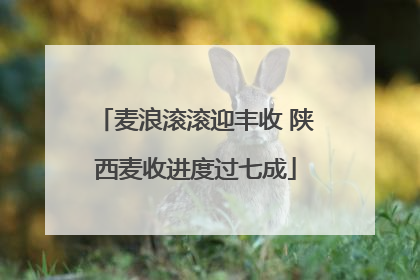 麦浪滚滚迎丰收 陕西麦收进度过七成