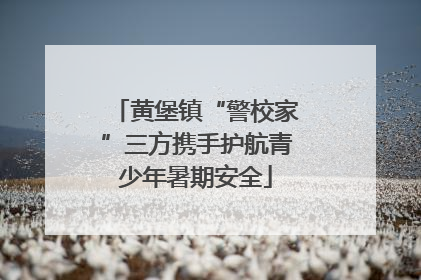 黄堡镇“警校家”三方携手护航青少年暑期安全