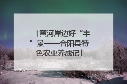 黄河岸边好“丰”景——合阳县特色农业养成记