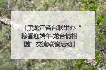 黑龙江省台联举办“粽香迎端午·龙台情相融”交流联谊活动
