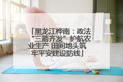 黑龙江桦南：政法“三箭齐发”护航农业生产 田间地头筑牢平安建设防线