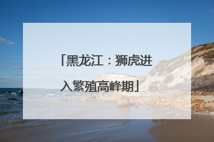黑龙江：狮虎进入繁殖高峰期