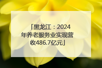 黑龙江：2024年养老服务业实现营收486.7亿元