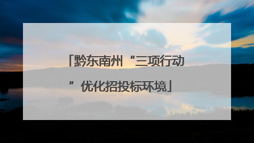 黔东南州“三项行动”优化招投标环境