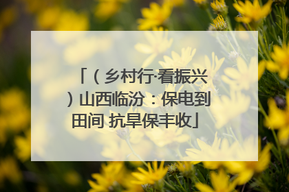 （乡村行·看振兴）山西临汾：保电到田间 抗旱保丰收