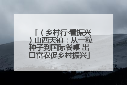（乡村行·看振兴）山西天镇：从一粒种子到国际餐桌 出口富农促乡村振兴