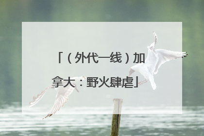 （外代一线）加拿大：野火肆虐