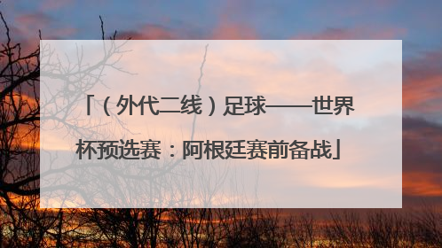 （外代二线）足球——世界杯预选赛：阿根廷赛前备战
