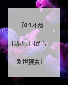 0:1不敌印尼，国足告别世预赛