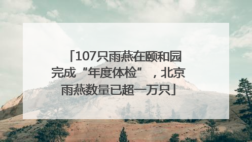 107只雨燕在颐和园完成“年度体检”，北京雨燕数量已超一万只