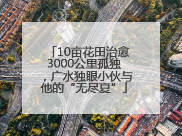 10亩花田治愈3000公里孤独，广水独眼小伙与他的“无尽夏”