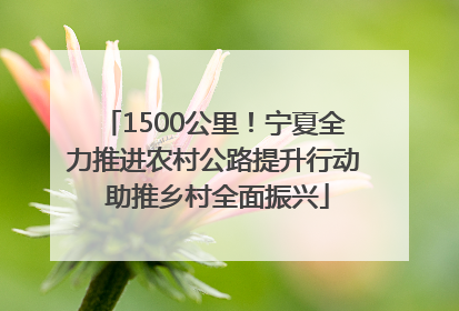 1500公里！宁夏全力推进农村公路提升行动 助推乡村全面振兴