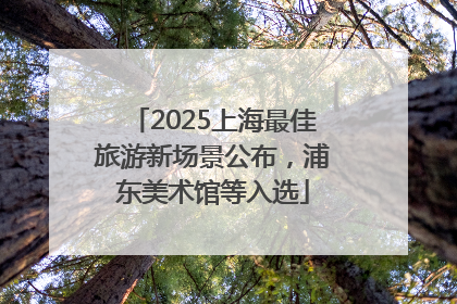 2025上海最佳旅游新场景公布，浦东美术馆等入选