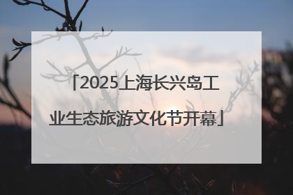 2025上海长兴岛工业生态旅游文化节开幕