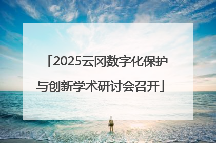 2025云冈数字化保护与创新学术研讨会召开