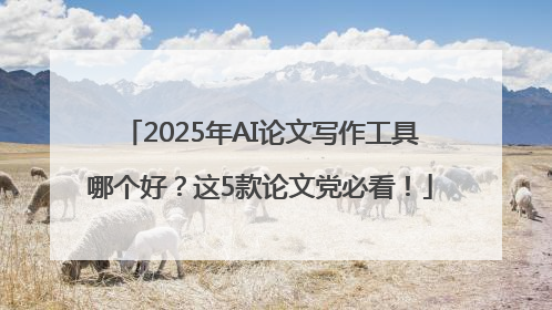 2025年AI论文写作工具哪个好？这5款论文党必看！