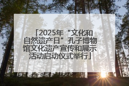 2025年“文化和自然遗产日”孔子博物馆文化遗产宣传和展示活动启动仪式举行