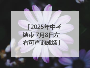 2025年中考结束 7月8日左右可查询成绩
