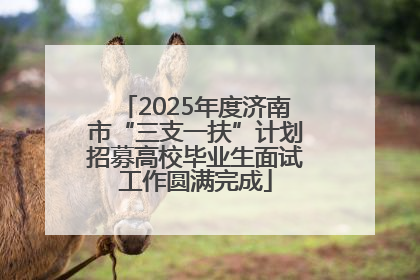 2025年度济南市“三支一扶”计划招募高校毕业生面试工作圆满完成