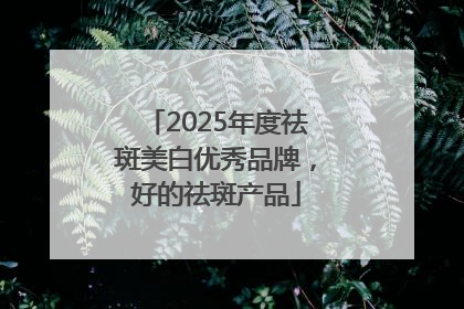 2025年度祛斑美白优秀品牌，好的祛斑产品