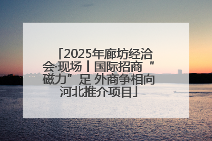 2025年廊坊经洽会·现场丨国际招商“磁力”足 外商争相向河北推介项目