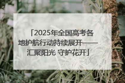 2025年全国高考各地护航行动持续展开——汇聚阳光 守护花开