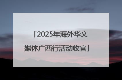 2025年海外华文媒体广西行活动收官