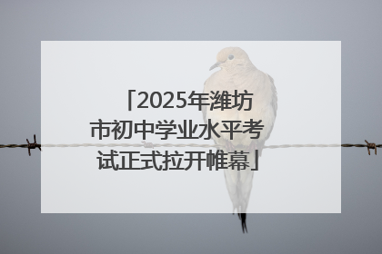 2025年潍坊市初中学业水平考试正式拉开帷幕