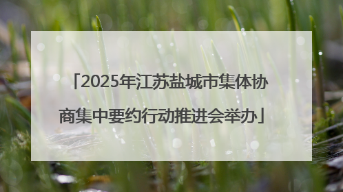 2025年江苏盐城市集体协商集中要约行动推进会举办